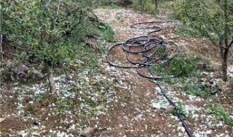 晴隆之窗最新爆料,最新爆料背后的惊人真相